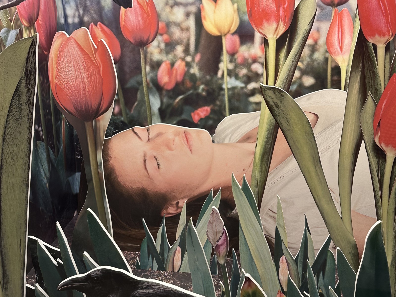 Elsa et Johanna - A Cabin with a view (c) Elsa et Johanna (1)