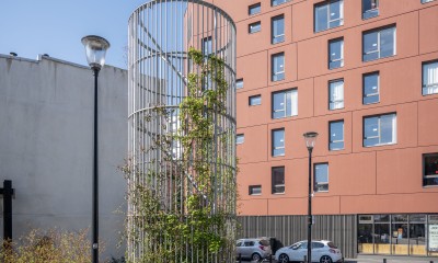 Volubiles pour Aimé ©Anne-Bettina Brunet (6) (1)