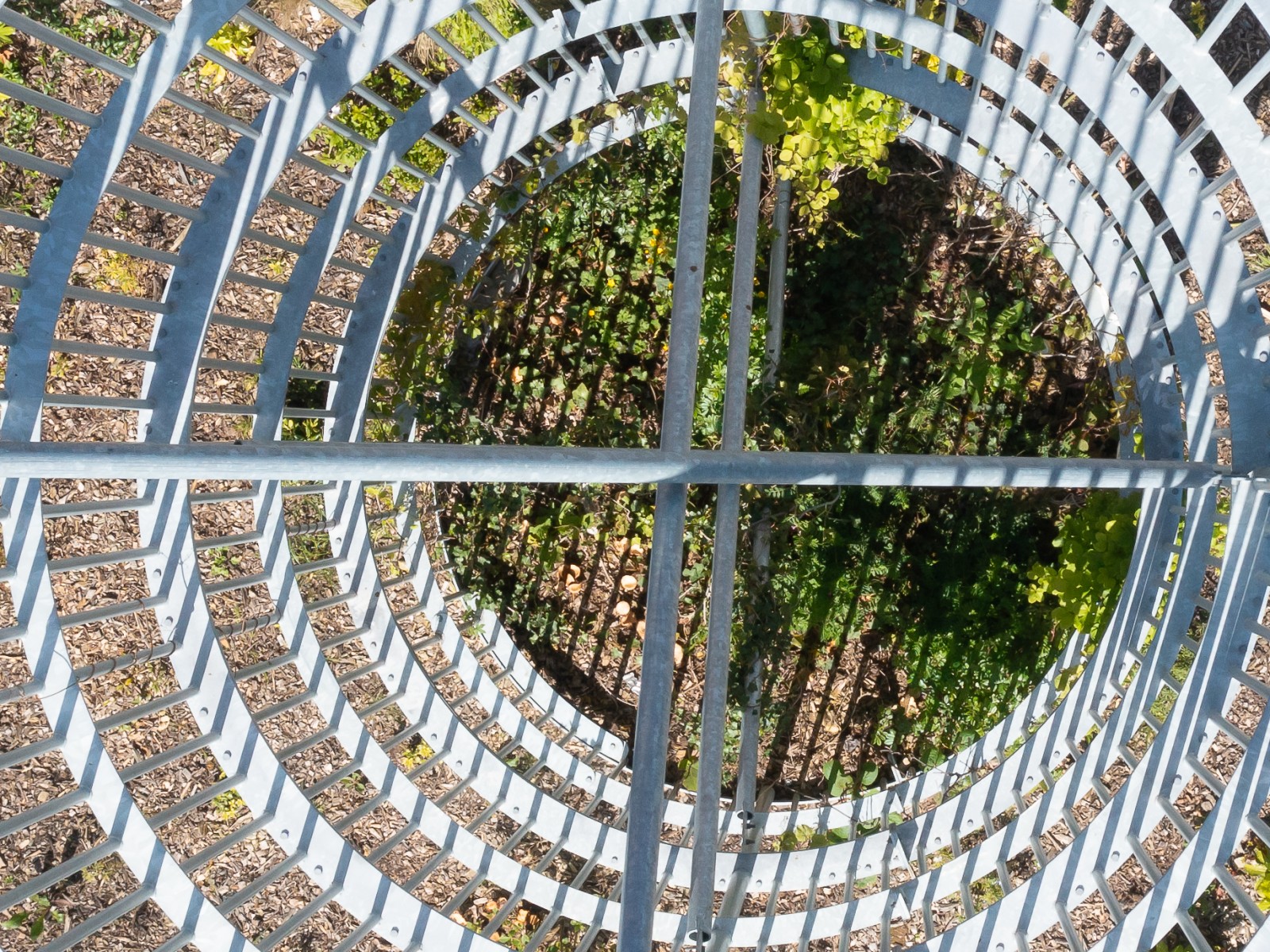 Volubiles © Marin David