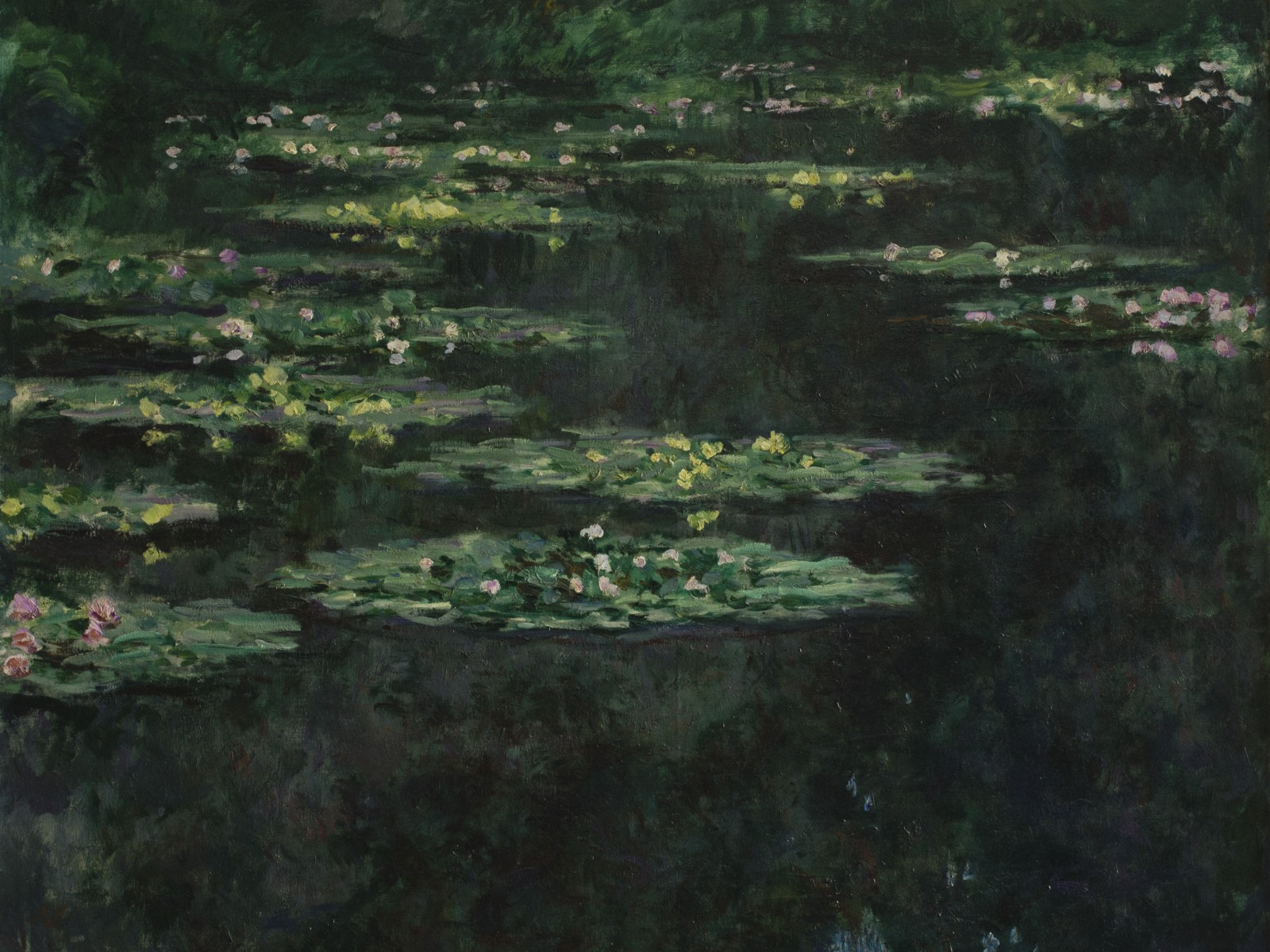 13.Claude MONET Les  Nymphéas © MuMa Le Havre David Fogel 
