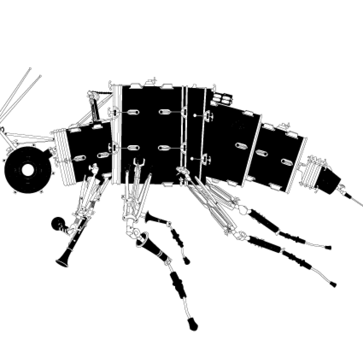 ANIMA (EX) MUSICA