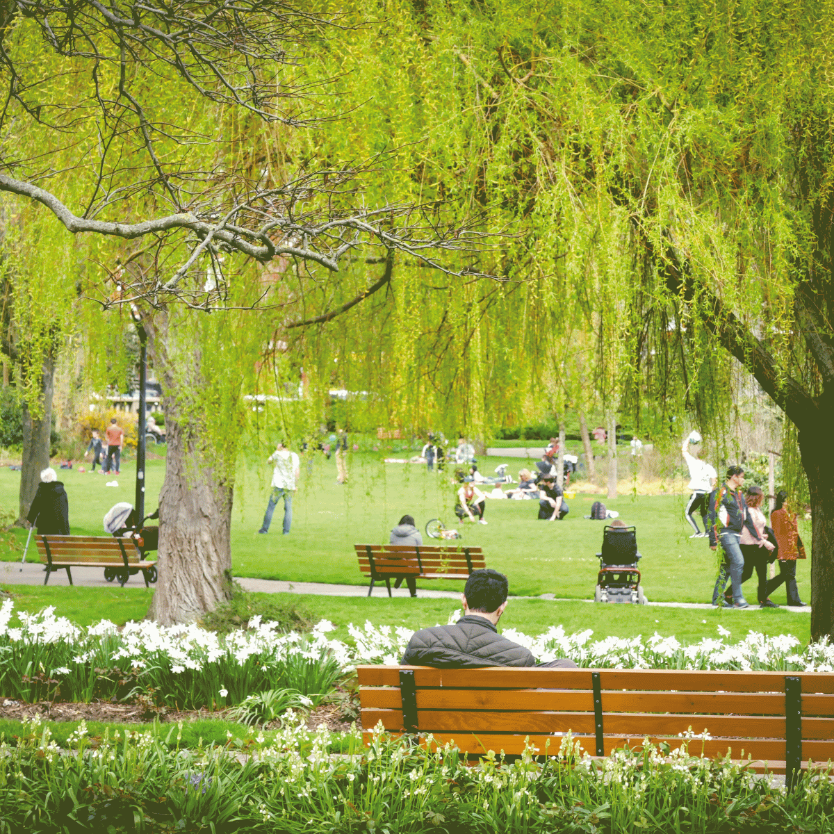 Square Saint-Roch
